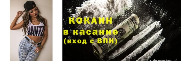 шишки Волоколамск