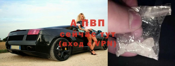 стаф Волосово