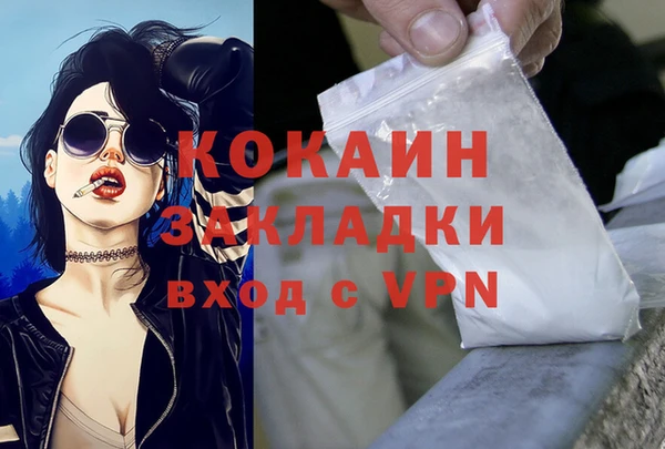 шишки Волоколамск