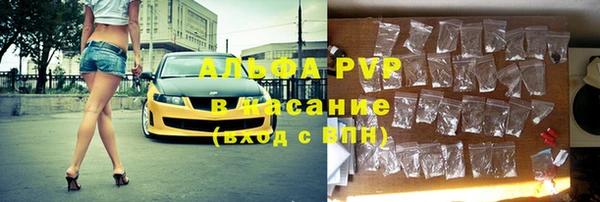 стаф Волосово