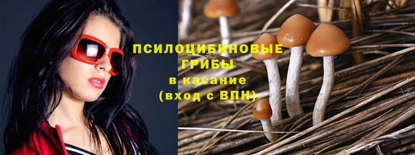 шишки Волоколамск
