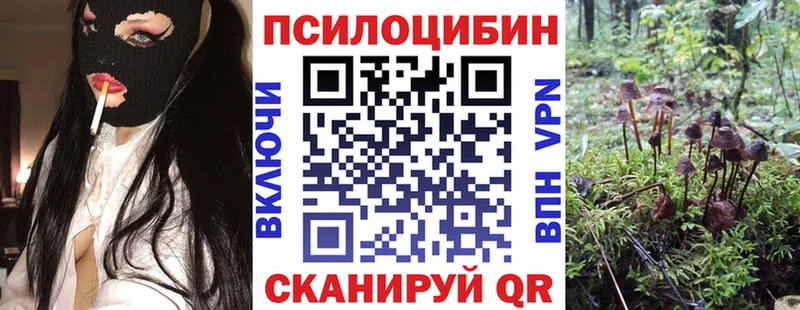 как найти   Саранск  Галлюциногенные грибы Psilocybine cubensis 